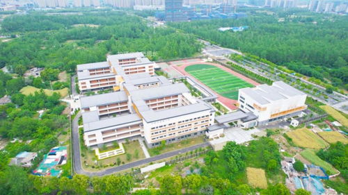 合肥这些楼盘的学区,即将迎来变化
